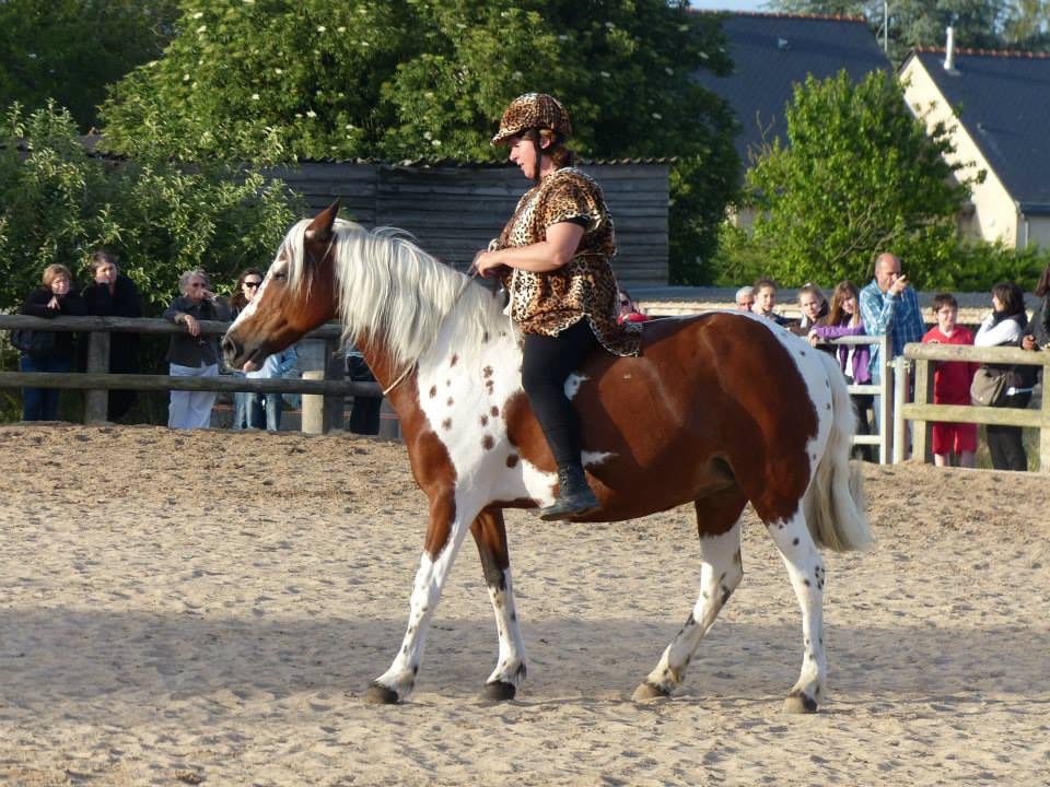 Image de stage équitation. éthologique