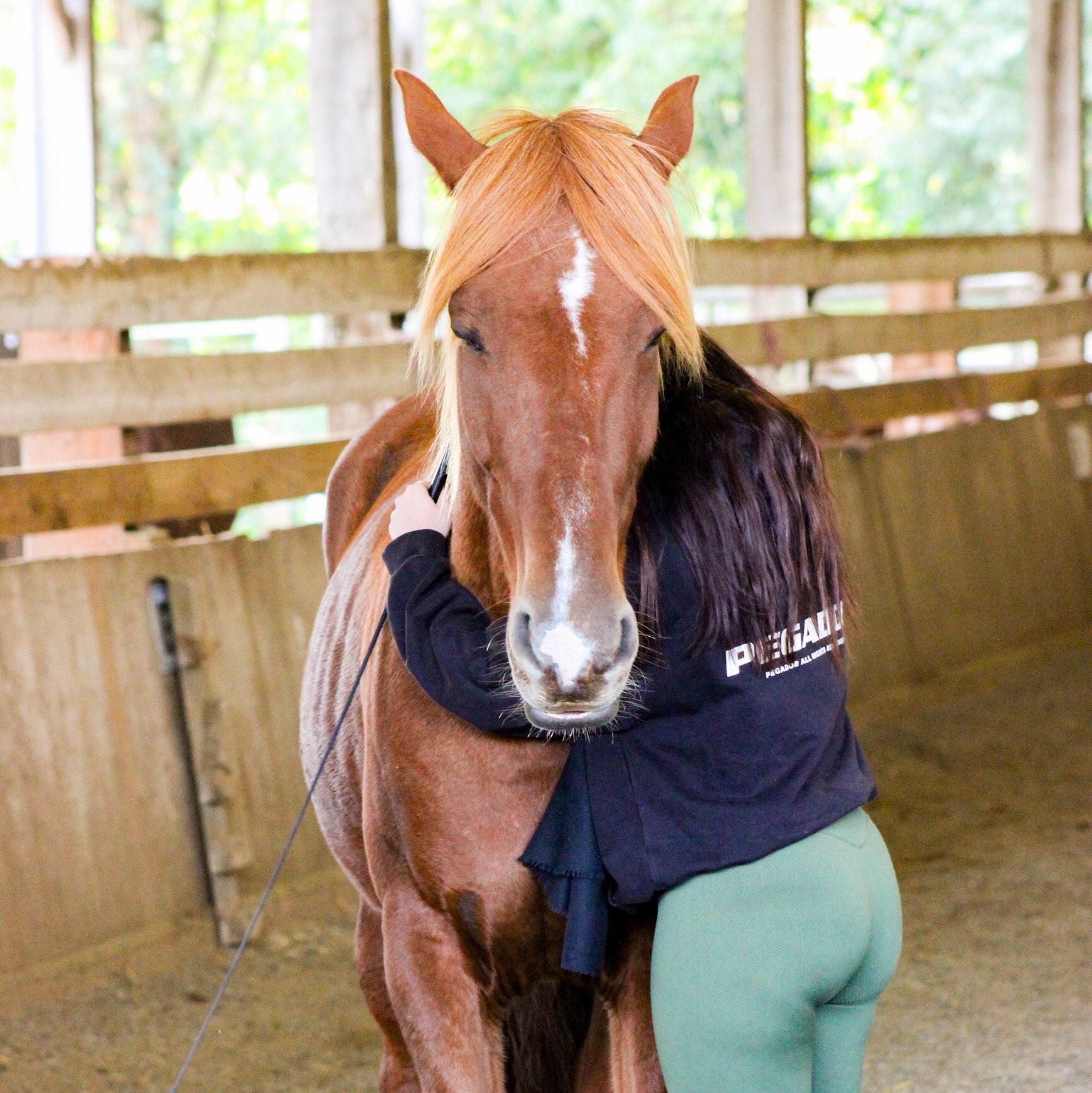 Image de Découverte de l'équitation pour adultes et ados débutants ou sachant juste trotter et galop 1 et 2