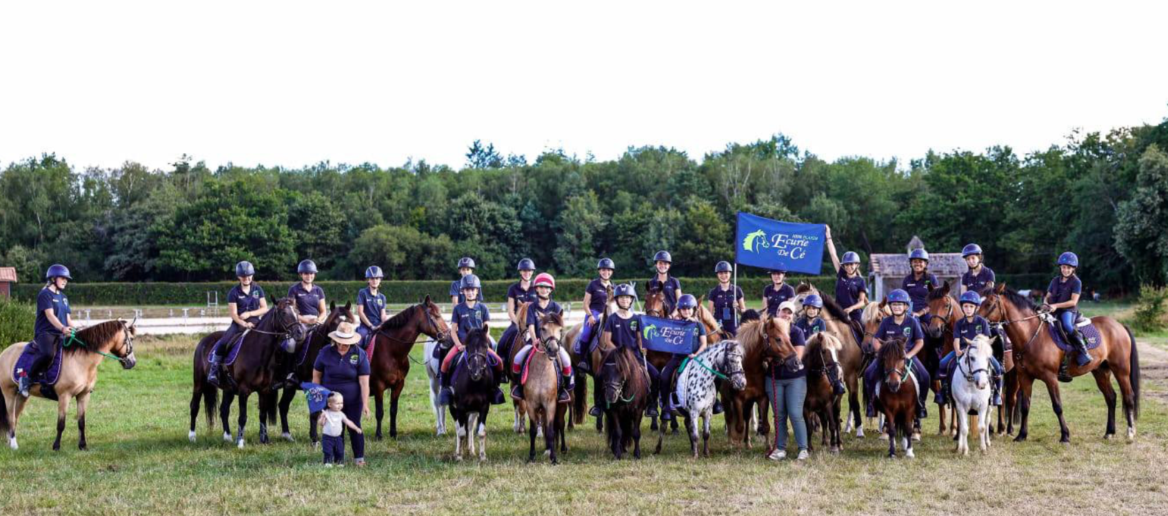 Image de STAGE DU DÉBUTANT AU GALOP 5