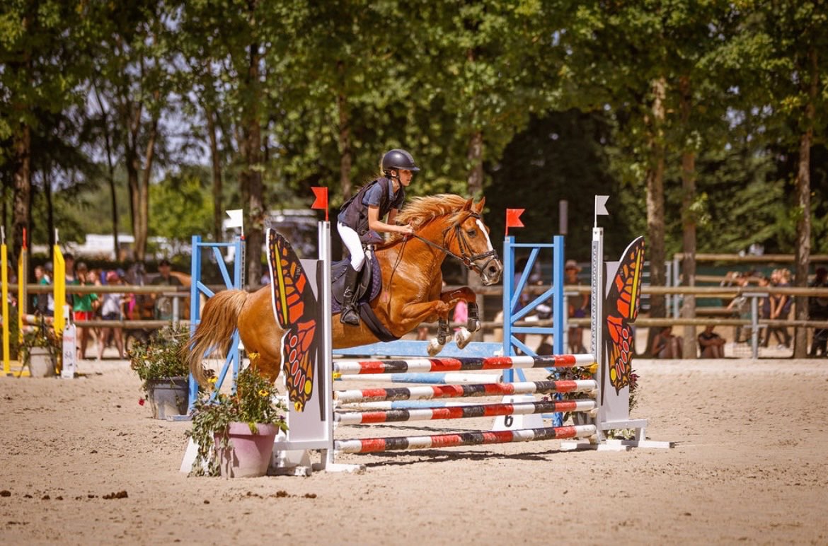 Image de Stage une journée galop 2 à 3