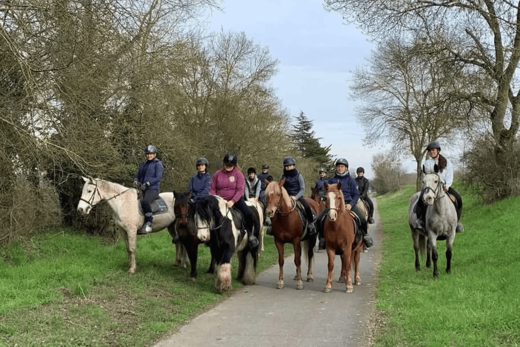 Image de Découverte de l'équitation ou reprise pour les adultes débutant, galop 1 et 2 