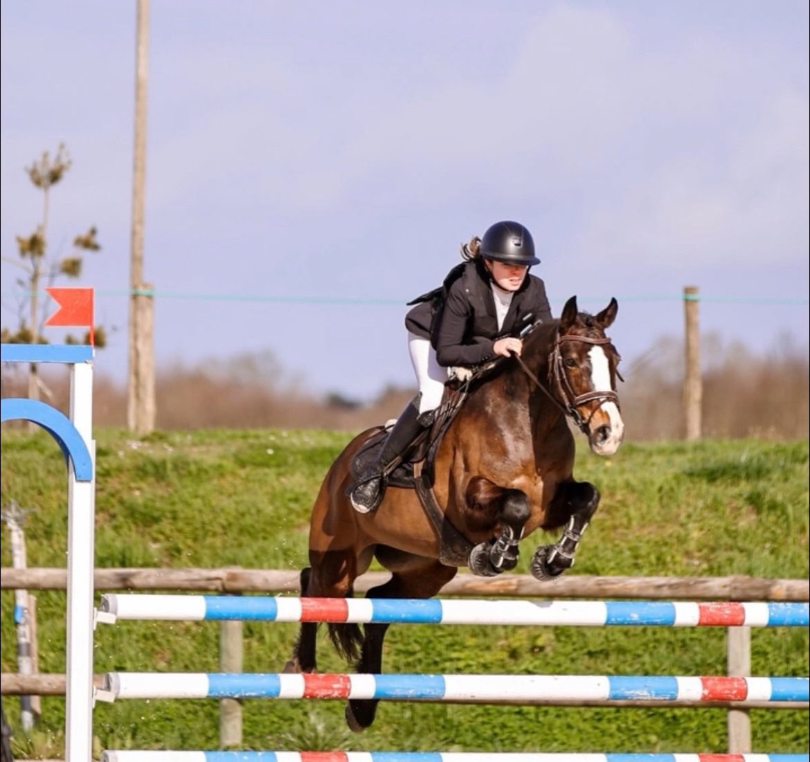 Image de Séance d'essai galop 5 à 7 