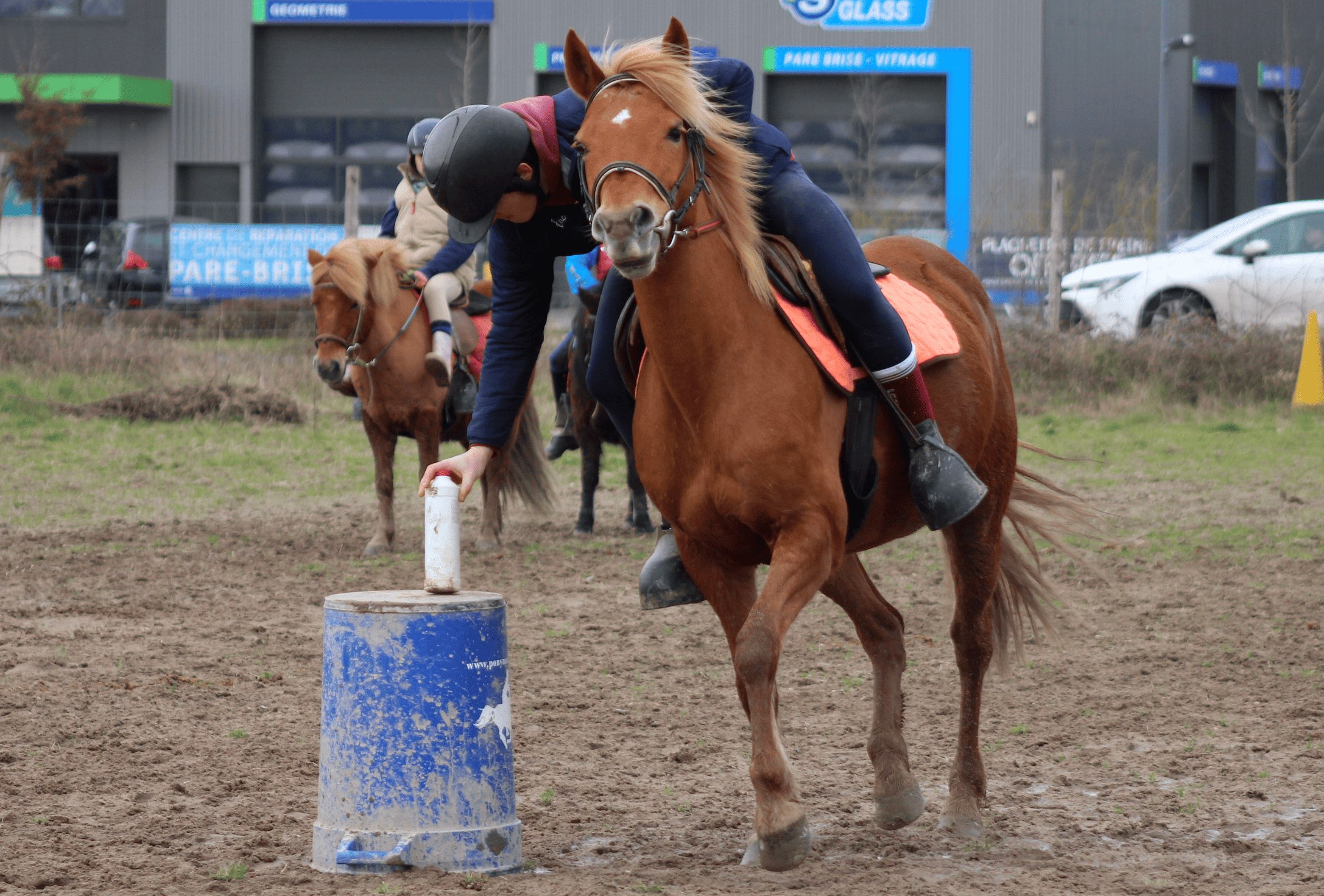 Image de STAGE PONY GAMES – DÉCOUVERTE & PERFECTIONNEMENT