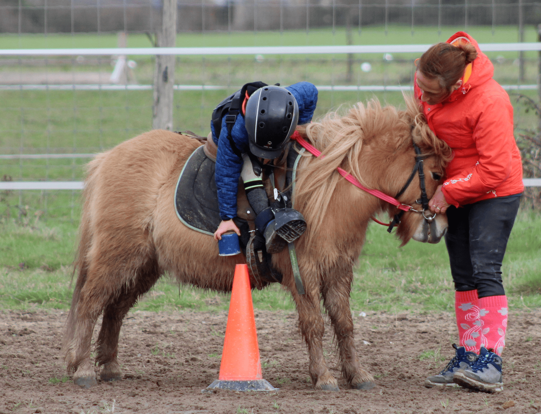 Image de Découverte du  poney pour enfants de 3 à 6 ans